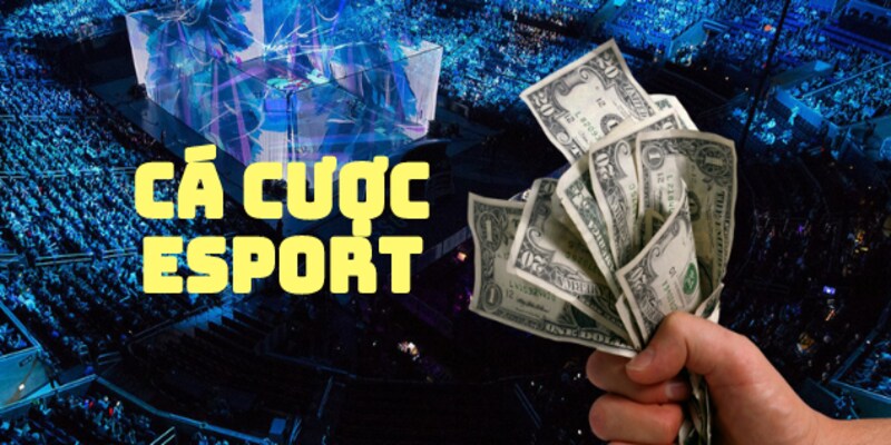 Cá cược Esport lớn nhất Kubet