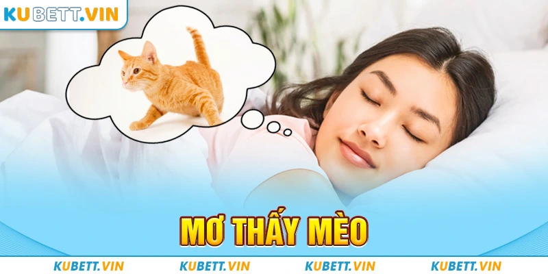 Mơ Thấy Mèo - Khám Phá Lời Luận Giải Chi Tiết Nhất Năm 2024