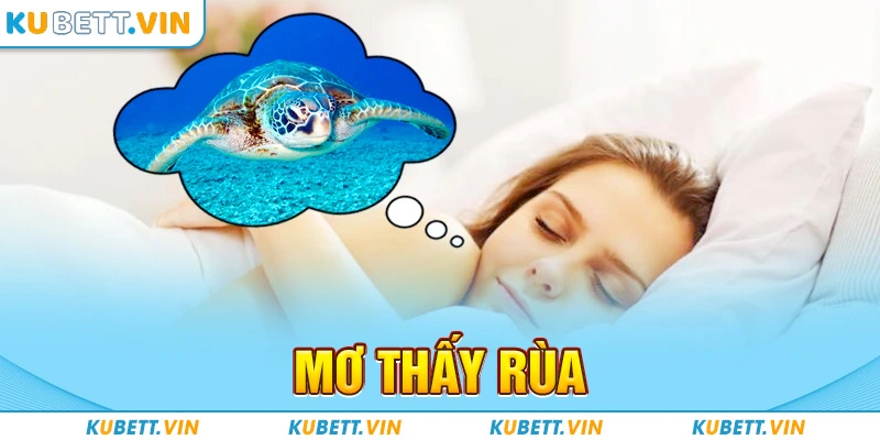 Mơ Thấy Rùa - Ý Nghĩa, Dự Đoán Tương Lai Và Những Điều Cần Biết