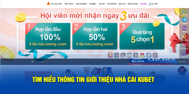 Tìm hiểu thông tin giới thiệu nhà cái Kubet 