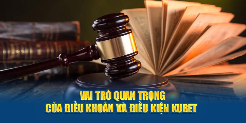 Vai trò quan trọng của điều khoản và điều kiện Kubet 